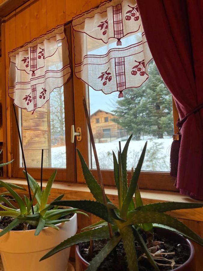 Ferme Savoyarde Renovee 2 Chambres Les Carroz d'Araches Kültér fotó